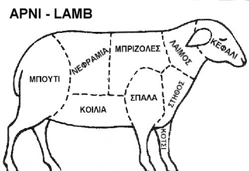 Cuts Of Lamb Chart