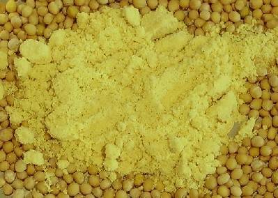 Mustard Powder - Moustarda skoni