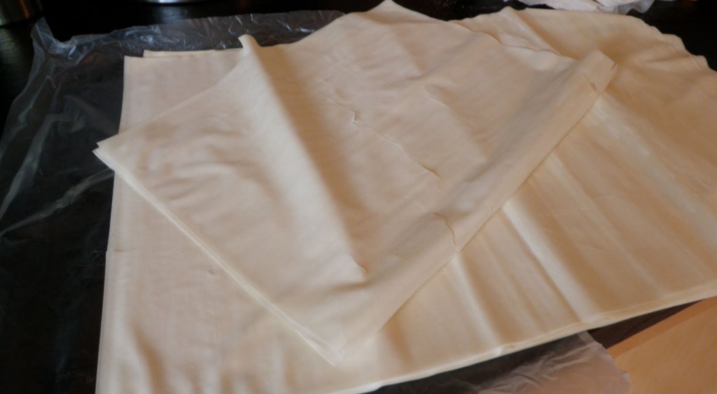 Beginner's Guide to Phyllo