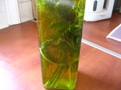 Aromatic olive oil with herbs