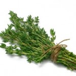 Thyme