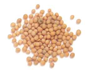 Mustard seeds