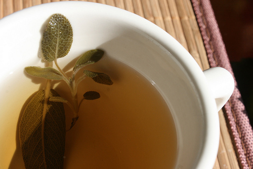 Sage Tea (Faskomilo)