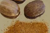 Nutmeg herb