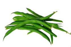 Fresh green beans