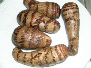 Taro root