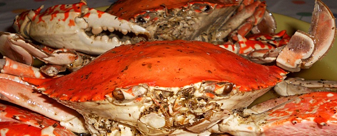 Boiled Crab With Lemon Dressing