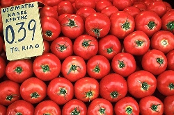 Greek ripe tomatoes
