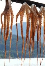 Tenderise hanging octopus