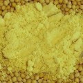 Mustard Powder - Moustarda skoni