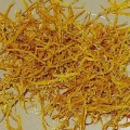 Saffron - Safora or Safrani